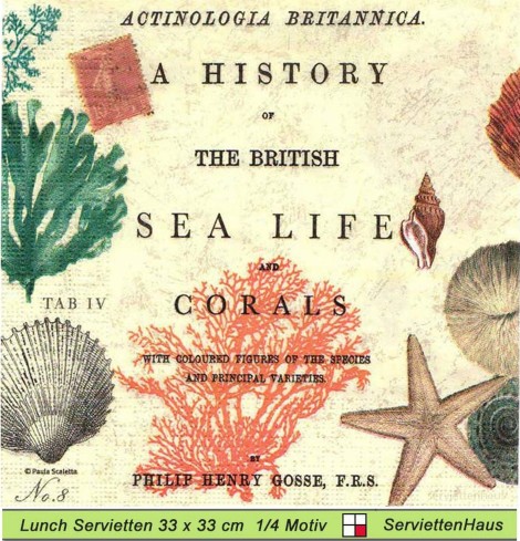 Muscheln und Seesterne A History of the British Sea Life - 1 Lunch Serviette